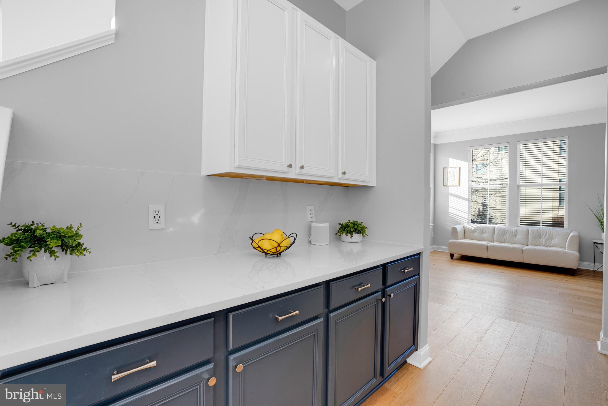 9825 Garden Ranges Laurel, MD 20723 - Photo 10 of 46 Butler's Pantry.