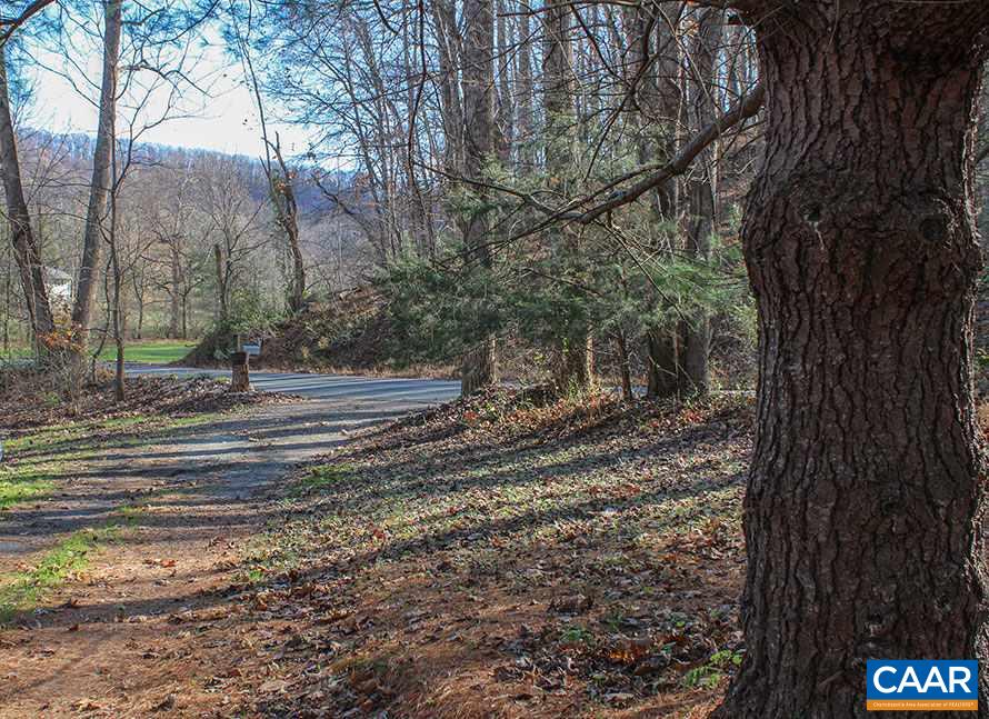 2468 Craigs Store Road Afton, VA 22920 - Photo 24 of 24 a view of a yard with a trees