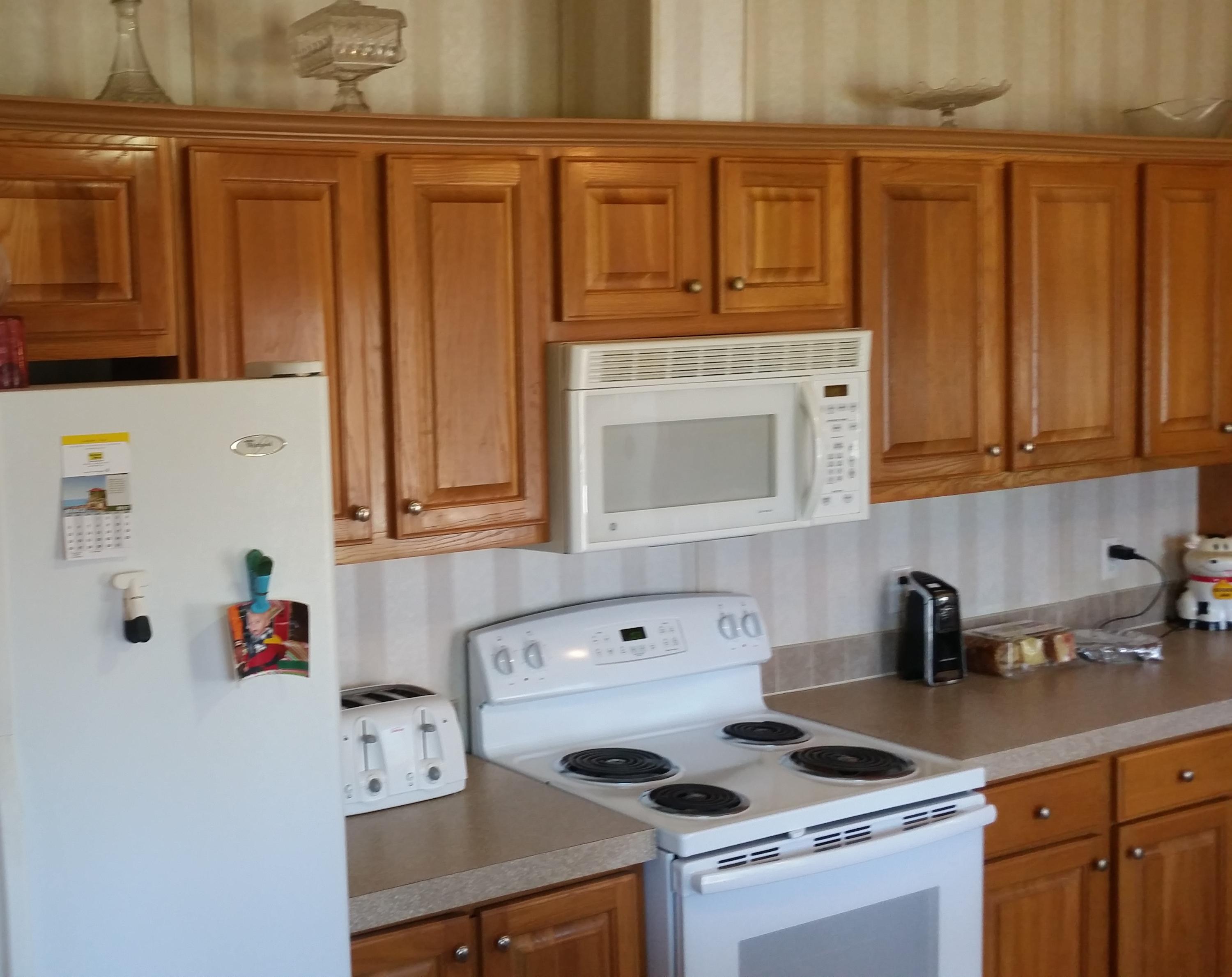 130 Laura Boling Loop Road Strawberry Plains, TN 37871 - Photo 20 of 36 built in Microwave