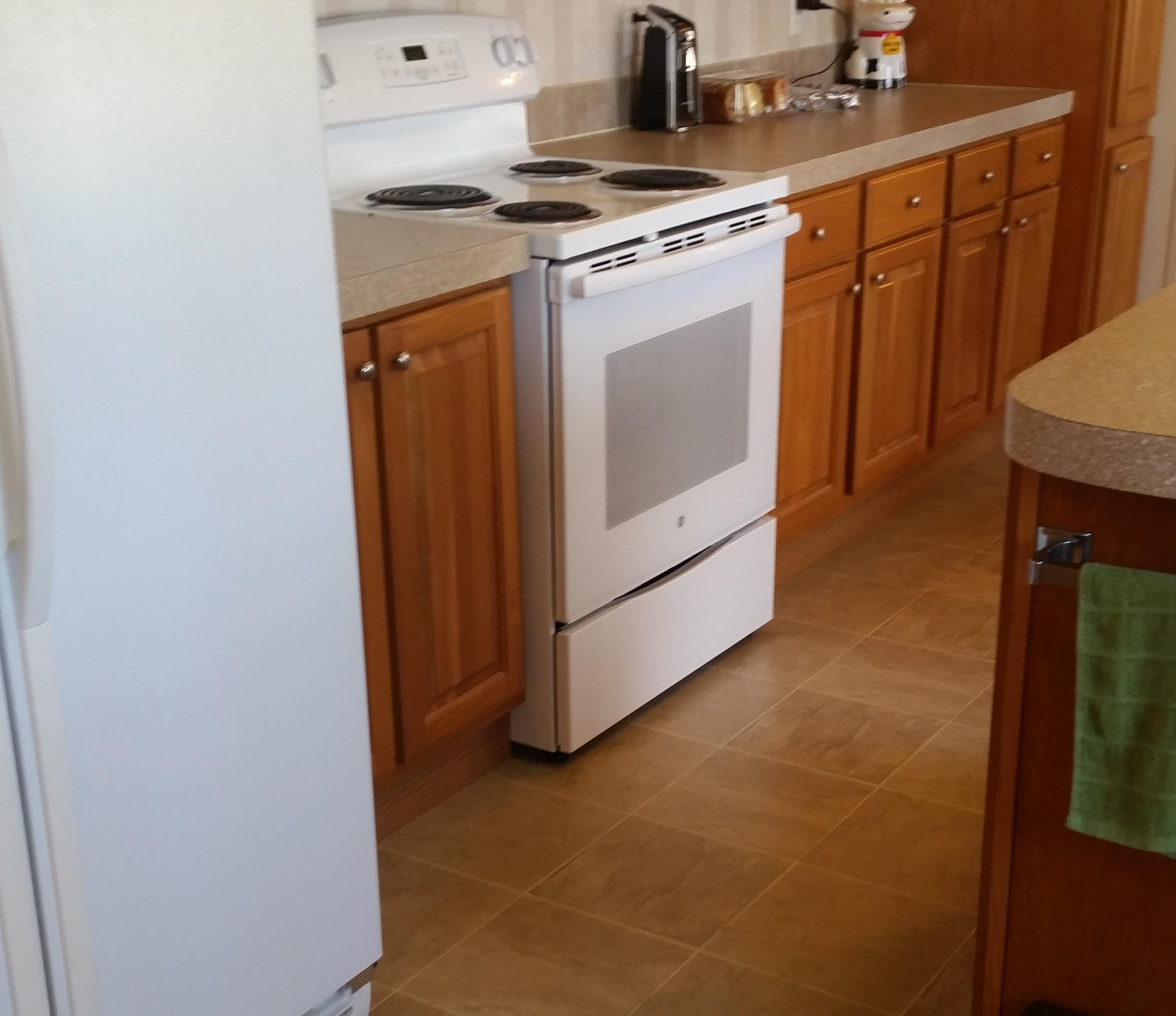 130 Laura Boling Loop Road Strawberry Plains, TN 37871 - Photo 21 of 36 recently purchased stove/oven