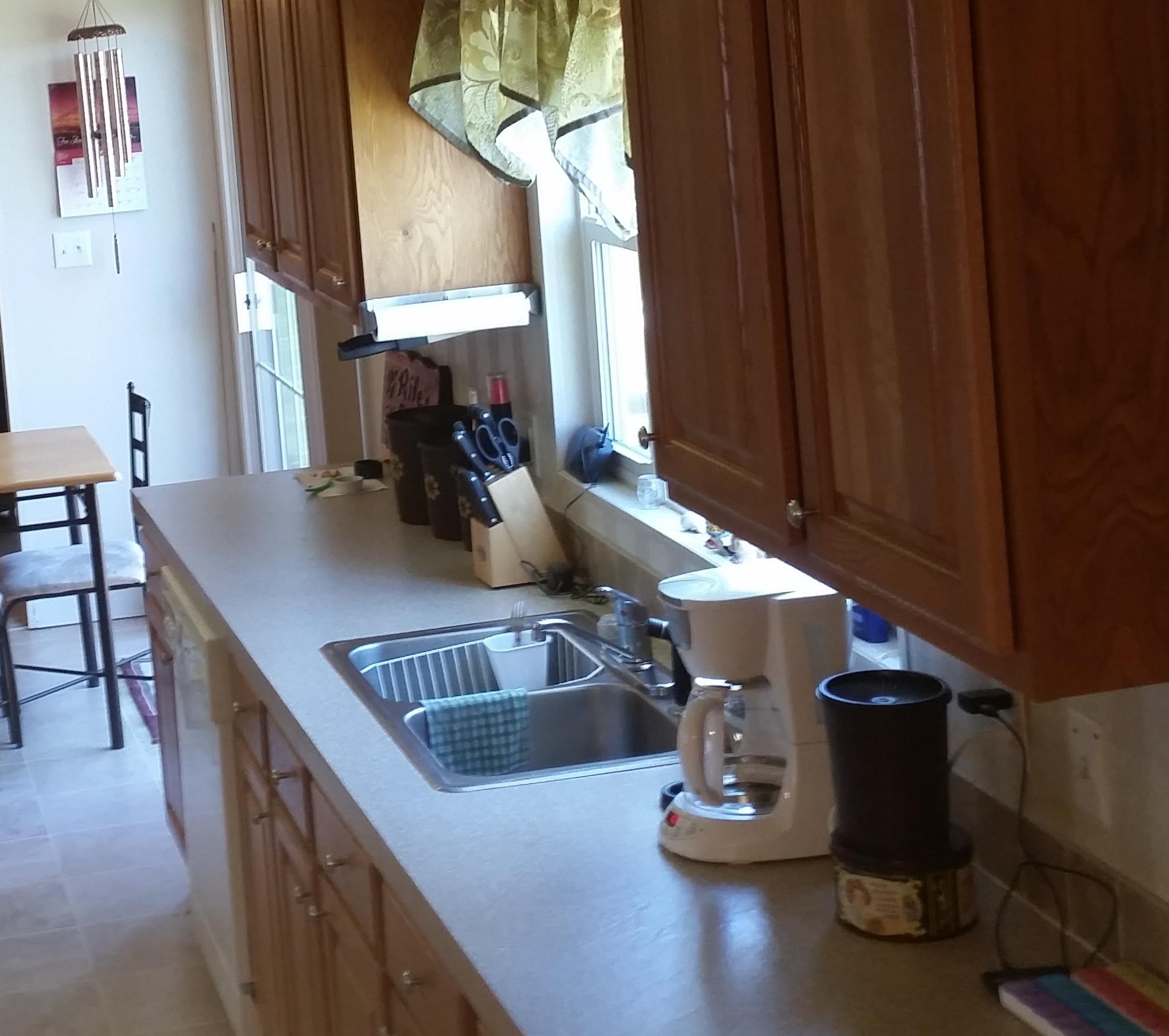 130 Laura Boling Loop Road Strawberry Plains, TN 37871 - Photo 24 of 36 window over sink