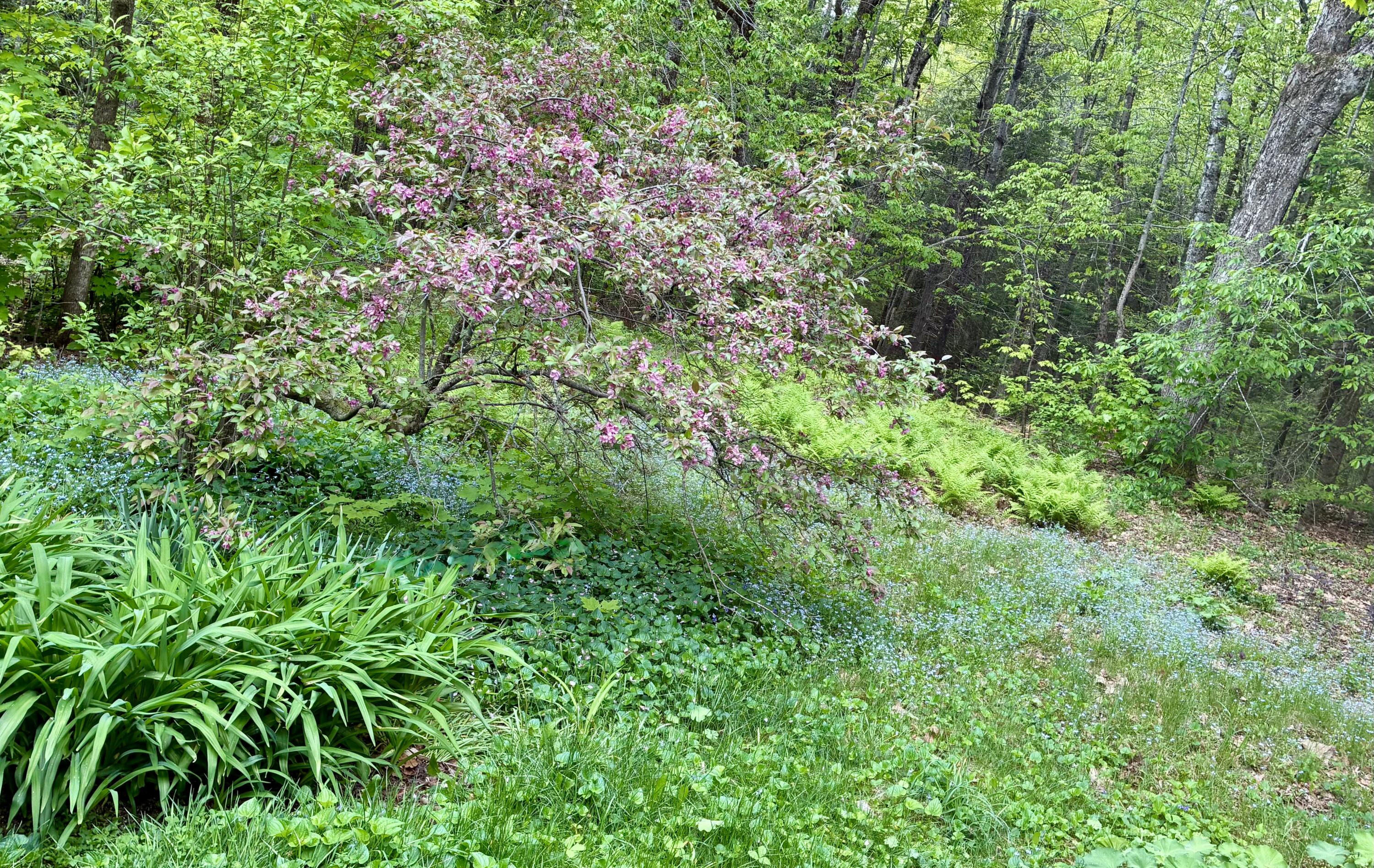 10 Ricker Hill Road Jackson, ME 04921 - Photo 12 of 13 IMG_0254 2