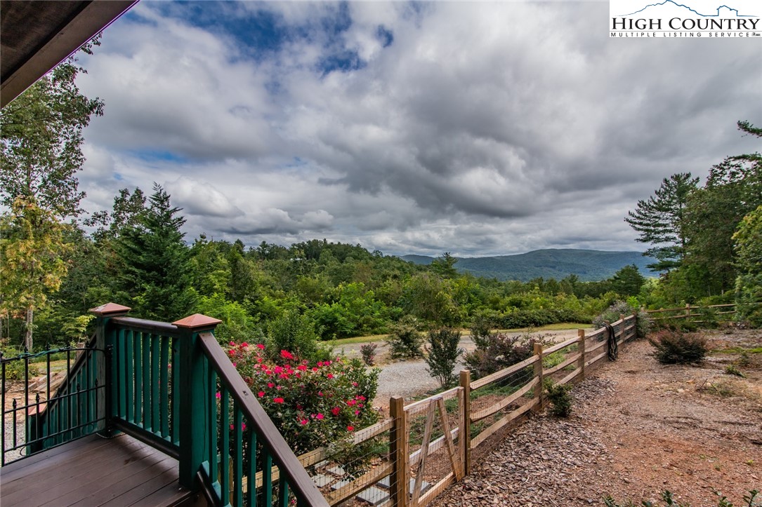 868 Staghorn Road Purlear, NC 28665 - Photo 2 of 50
