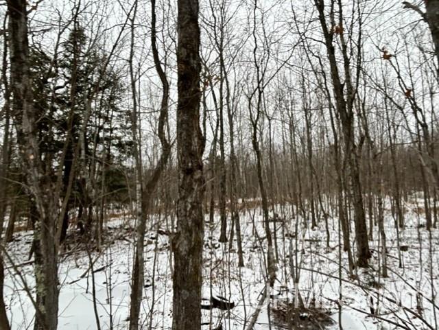 Tbd4 Larson Road Atlantic Mine, MI 49905 - Photo 17 of 41 Gallery Image 17