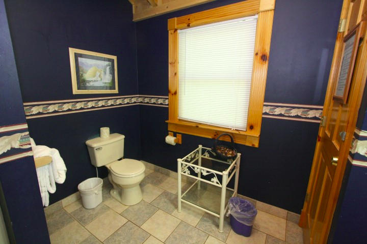 1616 South Mountain View Road Sevierville, TN 37876 - Photo 17 of 27 IMG_6492 (Small)MASTER BATH