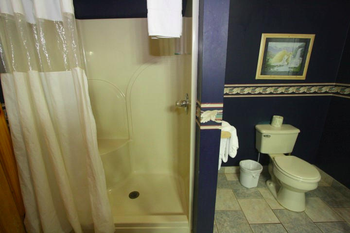 1616 South Mountain View Road Sevierville, TN 37876 - Photo 18 of 27 IMG_6493 (Small)MASTER BATH