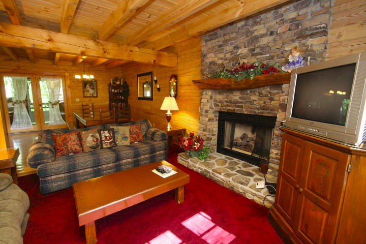 1616 South Mountain View Road Sevierville, TN 37876 - Photo 4 of 27 IMG_6469 (Small)FIREPLACE