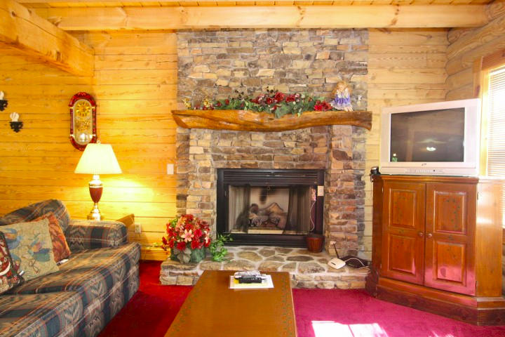 1616 South Mountain View Road Sevierville, TN 37876 - Photo 5 of 27 IMG_6478 (Small)FIREPLACE FRONT