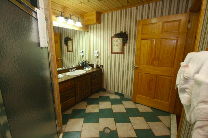 1616 South Mountain View Road Sevierville, TN 37876 - Photo 10 of 27 IMG_6477 (Small)BATH 2
