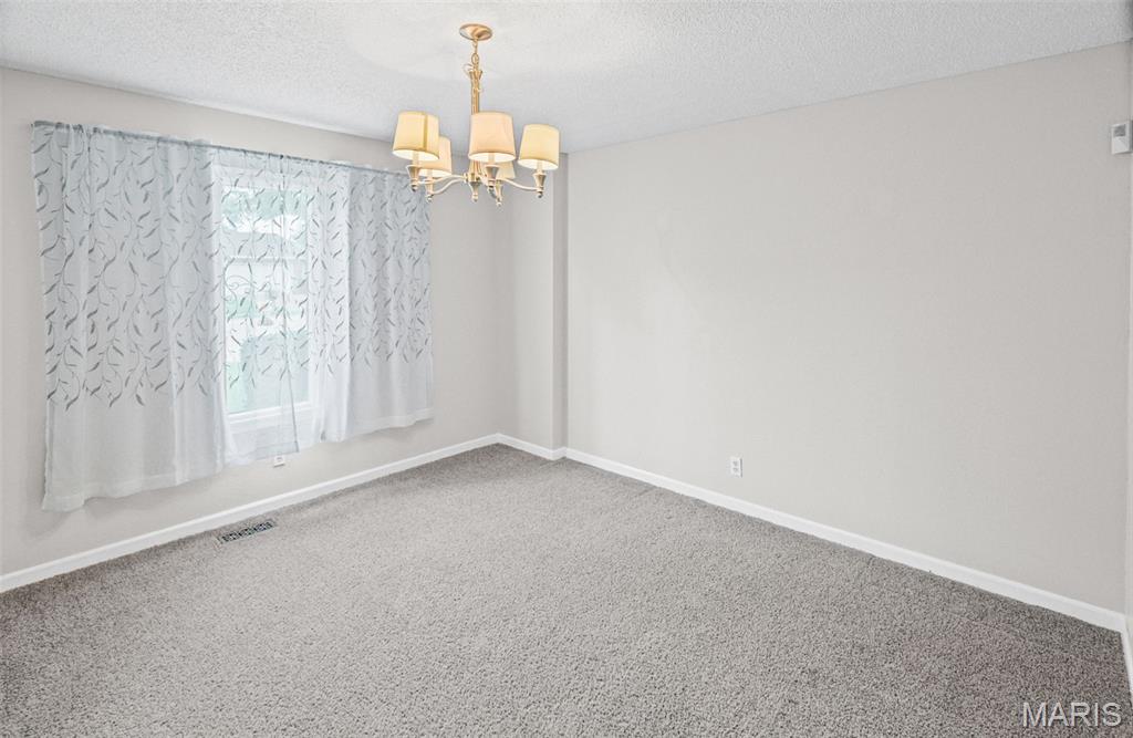 425 Weatherstone Drive Belleville, IL 62221 - Photo 10 of 47