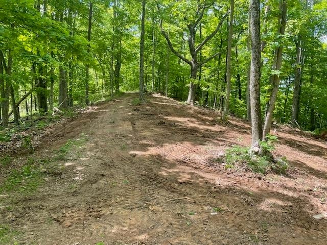 0 Lycans Branch Road Ona, WV 25545 - Photo 10 of 12 Gallery Image 10