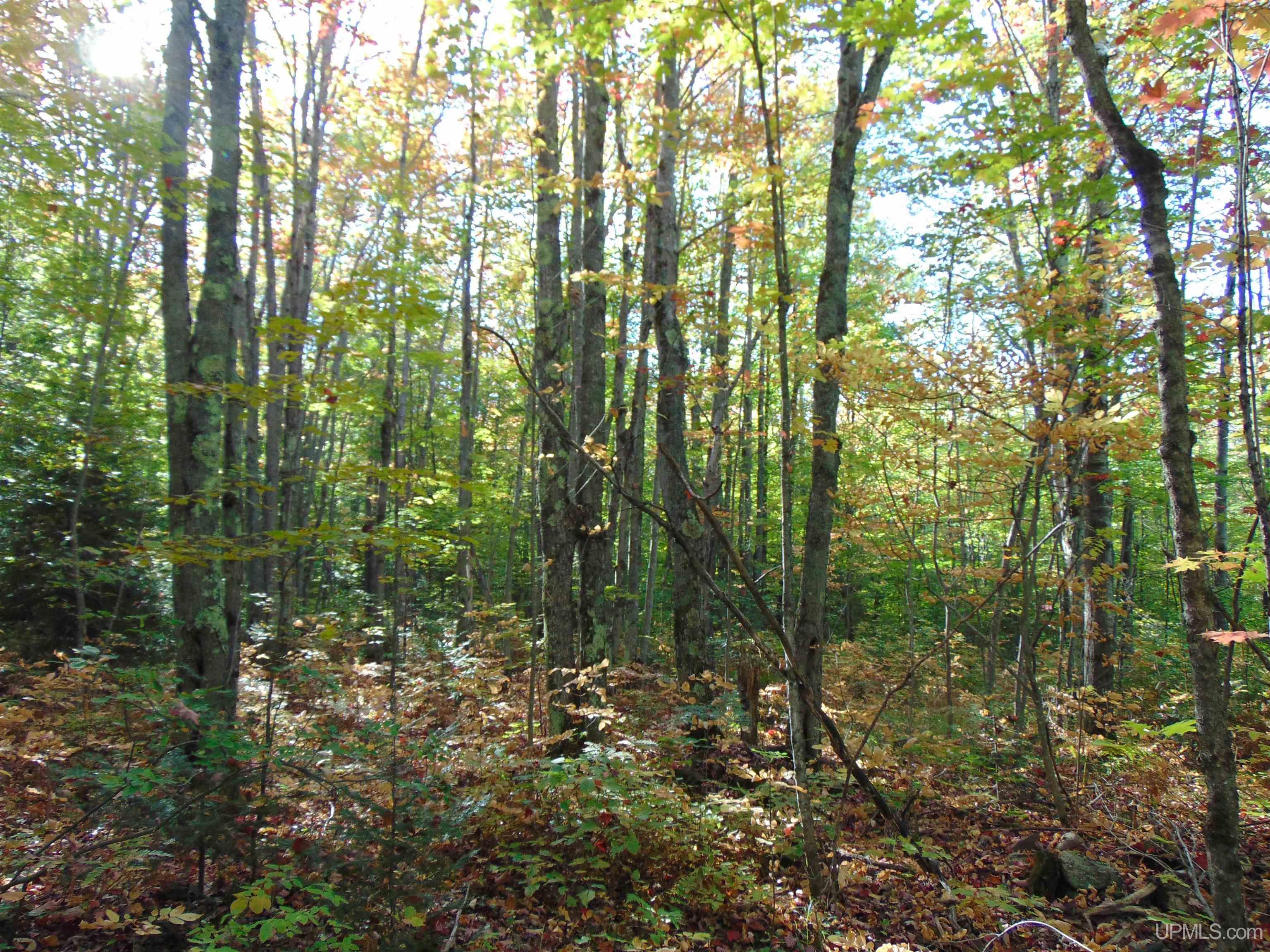 14571 Holombo Road Bruce Crossing, MI 49912 - Photo 30 of 30