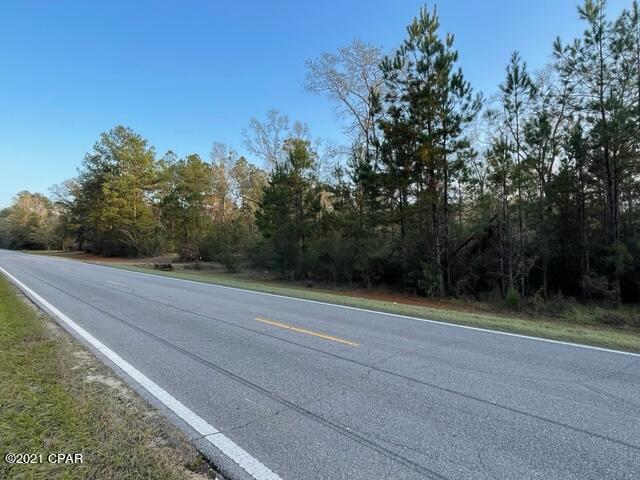 3089 Pioneer Road Vernon, FL 32462 - Photo 2 of 7 Gallery Image 2