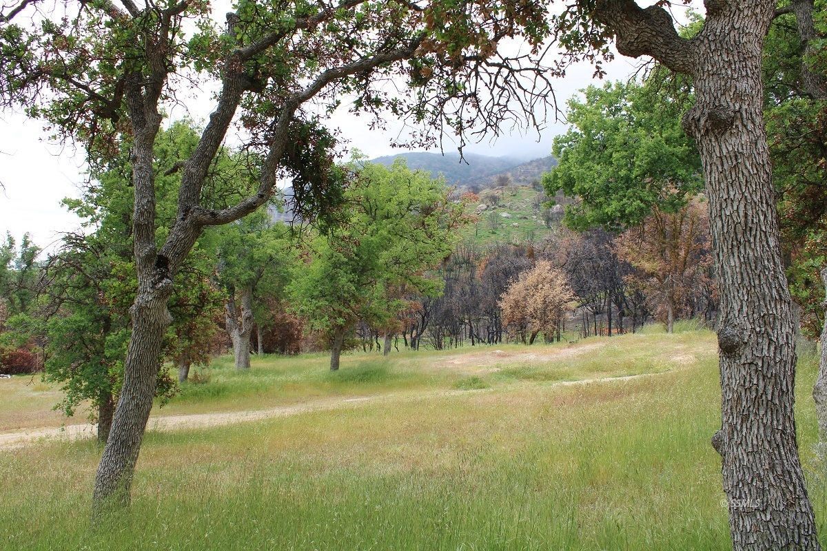 22885 Mistletoe Court Caliente, CA 93518 - Photo 16 of 40