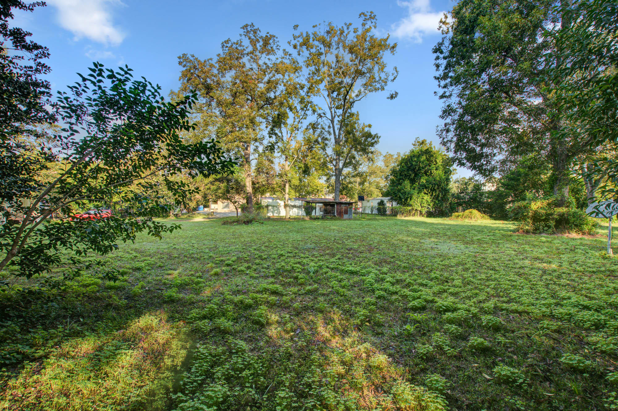 207 County Rd S-18-61 St. George, SC 29477 - Photo 11 of 27 CalSiglerPhotography-207Ridge (6)