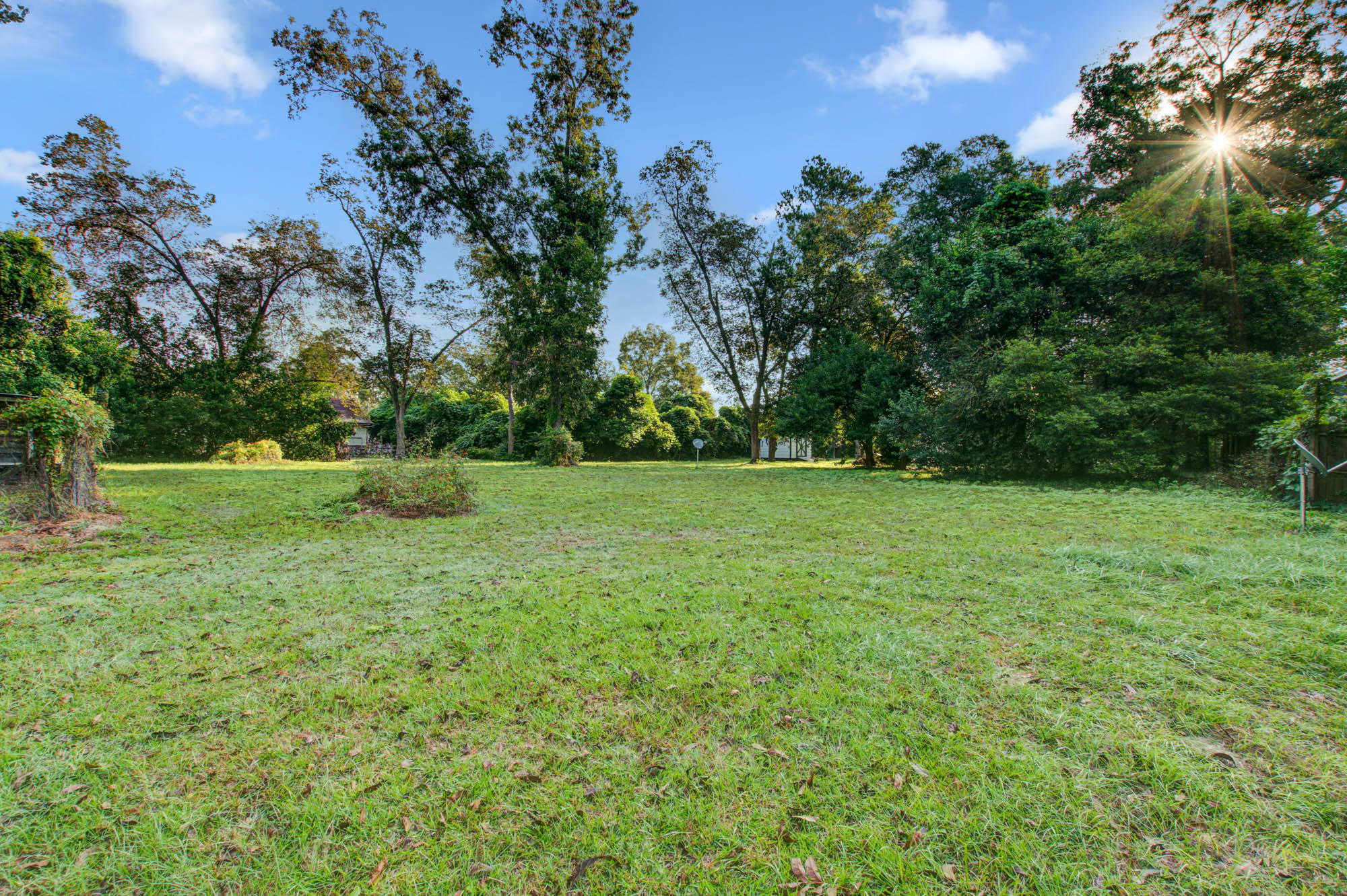 207 County Rd S-18-61 St. George, SC 29477 - Photo 12 of 27 CalSiglerPhotography-207Ridge (7)