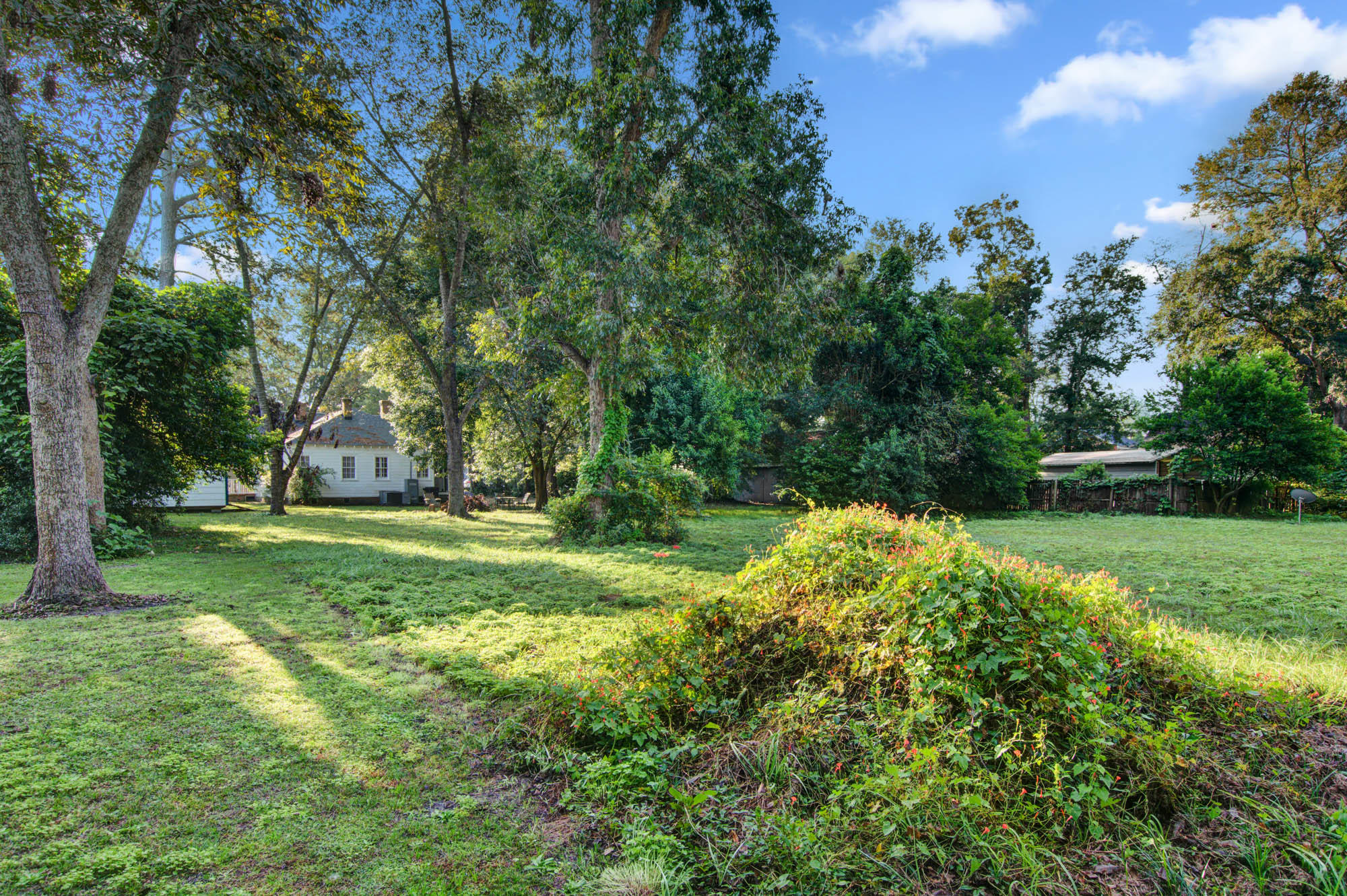 207 County Rd S-18-61 St. George, SC 29477 - Photo 13 of 27 CalSiglerPhotography-207Ridge (8)