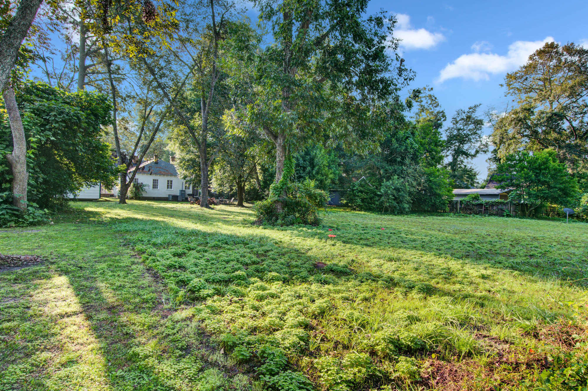207 County Rd S-18-61 St. George, SC 29477 - Photo 14 of 27 CalSiglerPhotography-207Ridge (9)