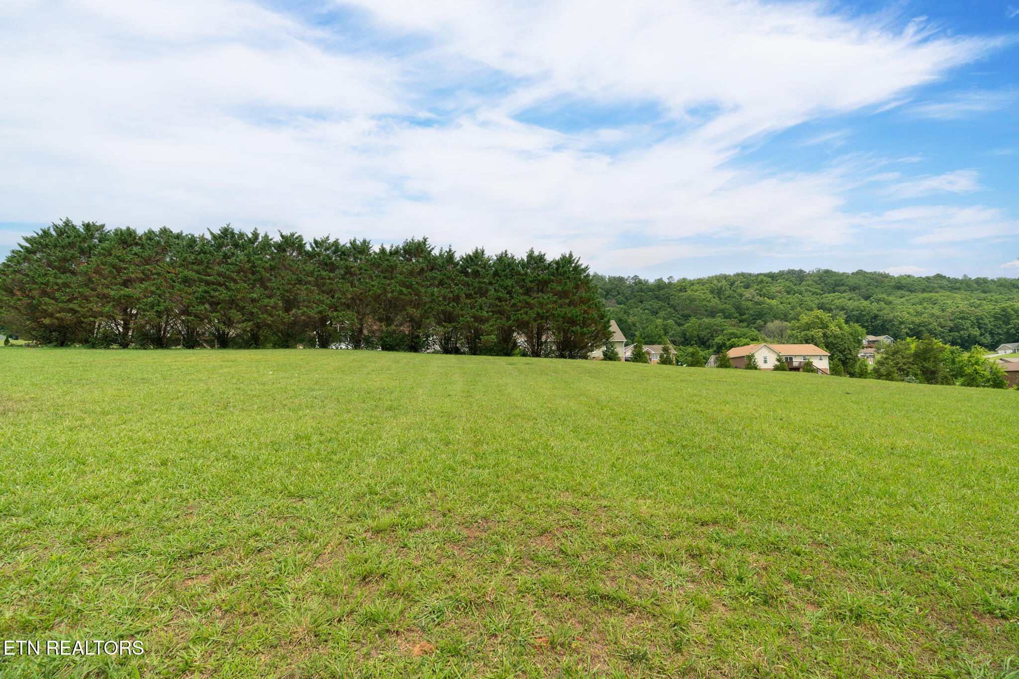 2059 Creswell Road Seymour, TN 37865 - Photo 30 of 36 untitled-30