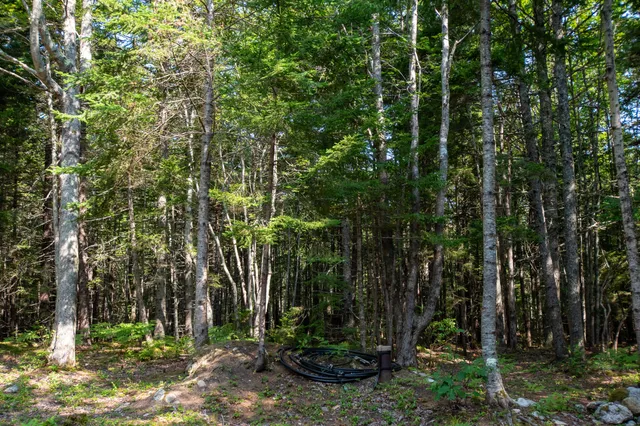 $250,000 | 14 Pinkie Lane, Southport, ME 04576