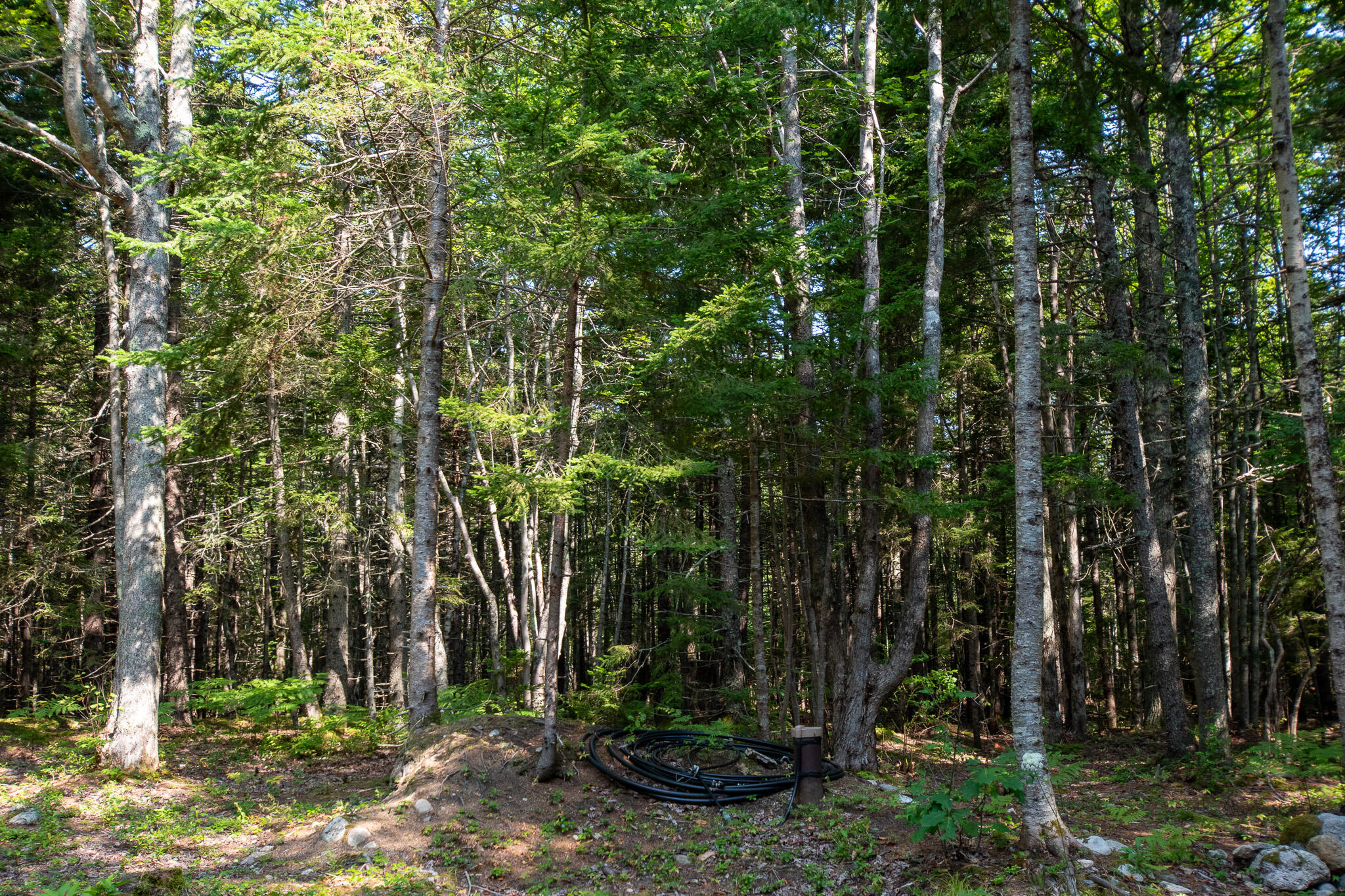 14 Pinkie Lane Southport, ME 04576 - Photo 46 of 69 DSC_0073