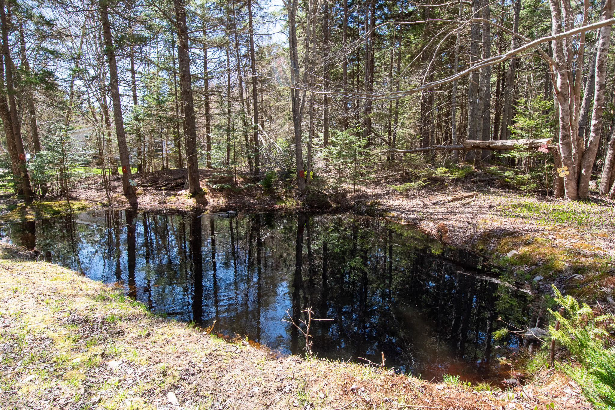 14 Pinkie Lane Southport, ME 04576 - Photo 49 of 69 DSC_0650