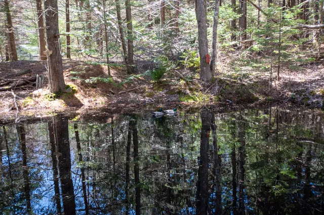 $250,000 | 14 Pinkie Lane, Southport, ME 04576