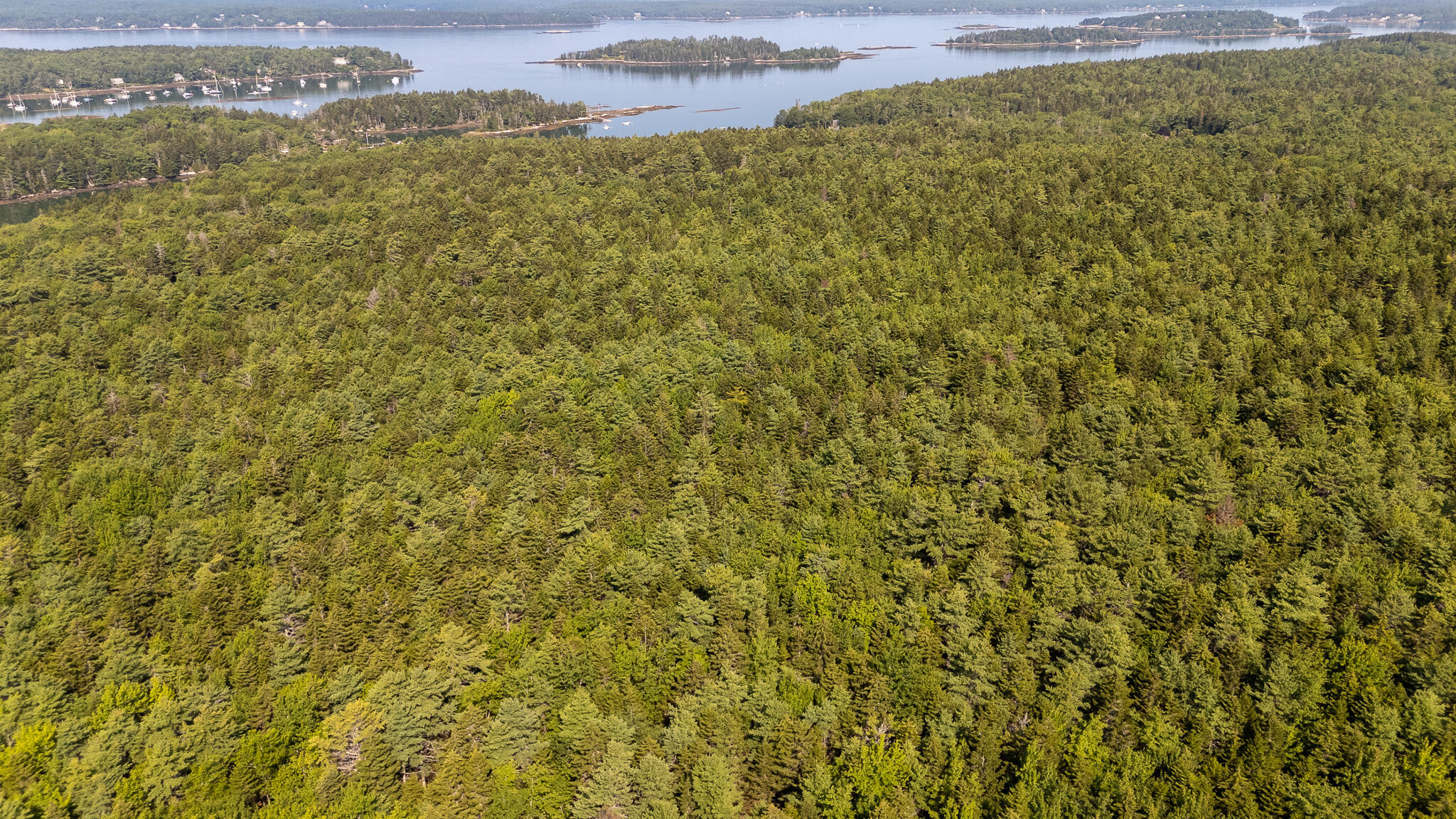 14 Pinkie Lane Southport, ME 04576 - Photo 59 of 69 DJI_20250811100535_0128_D