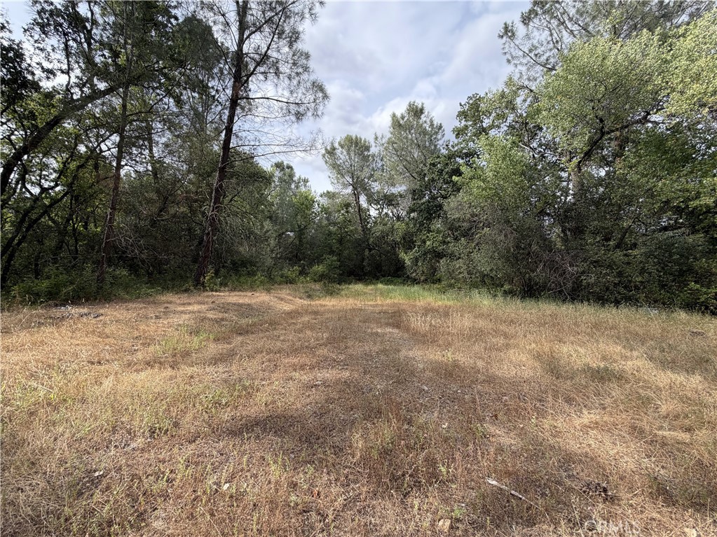 0 Ophir Road Oroville, CA 95966 - Photo 21 of 29 a view of basketball court