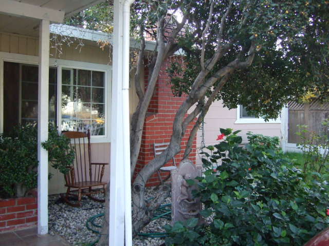 2094 Overhill Road Concord, CA 94520 - Photo 2 of 20