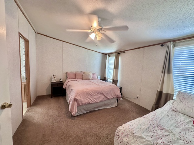 106 Ramirez Street Kyle, TX 78640 - Photo 17 of 19 A comforting retreat with plush carpeting and natural light filtering through the window blinds.