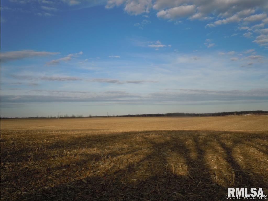 3 County Line Road Industry, IL 61440 - Photo 2 of 8