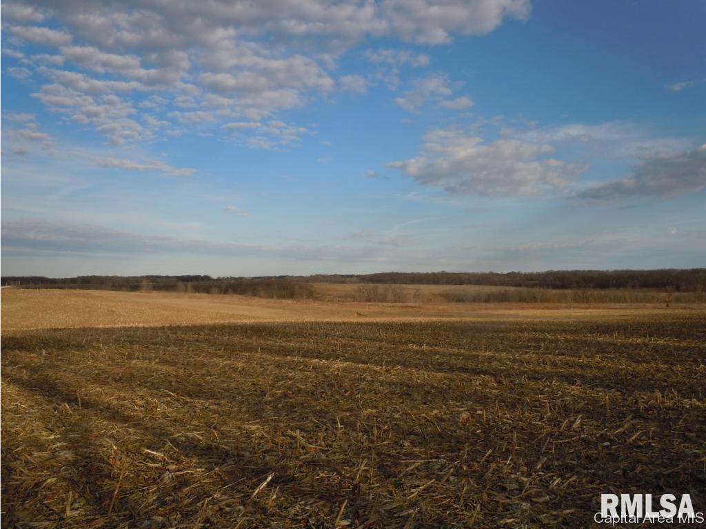 3 County Line Road Industry, IL 61440 - Photo 3 of 8