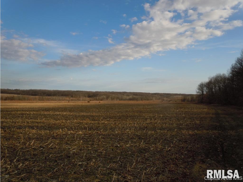 3 County Line Road Industry, IL 61440 - Photo 4 of 8