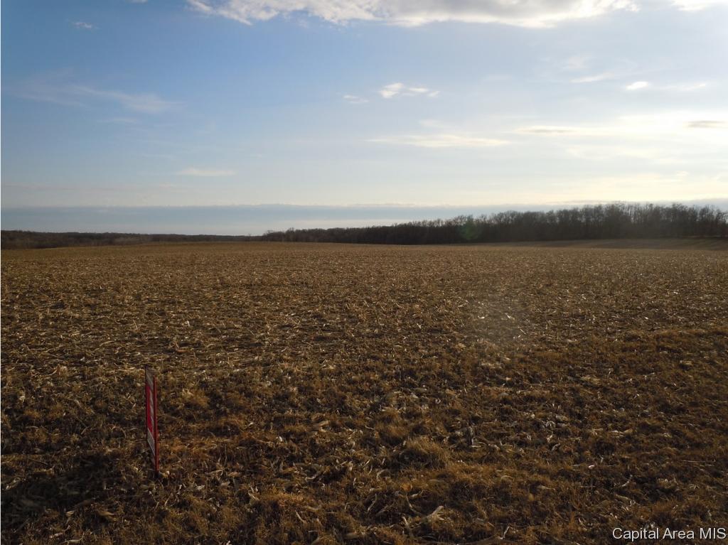 3 County Line Road Industry, IL 61440 - Photo 5 of 8