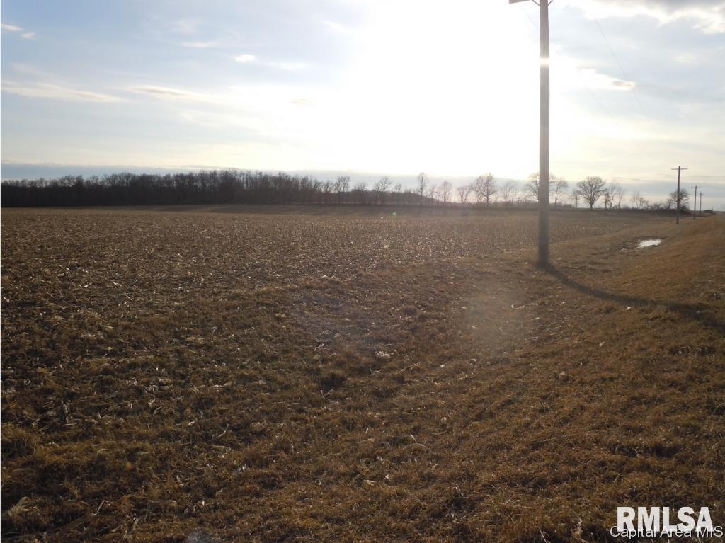 3 County Line Road Industry, IL 61440 - Photo 6 of 8
