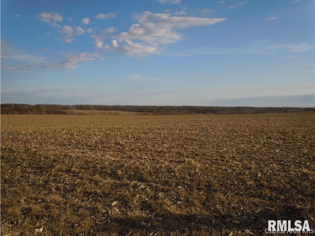 3 County Line Road Industry, IL 61440 - Photo 8 of 8