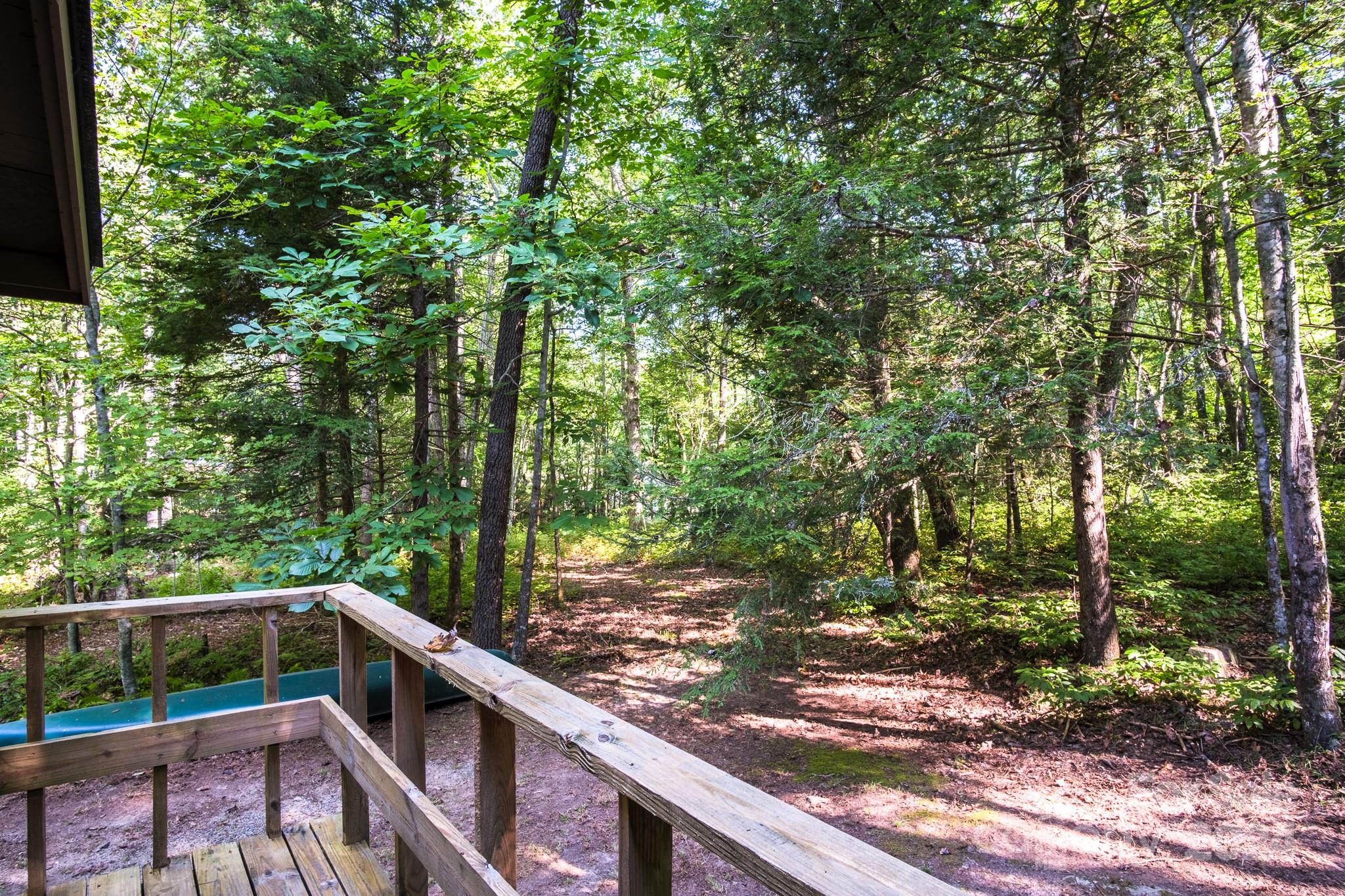 399 Oriole Road Brevard, NC 28712 - Photo 42 of 45 Gallery Image 42