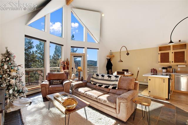 416 Blue Spruce Road Divide, CO 80814 - Photo 12 of 50 Gallery Image 12