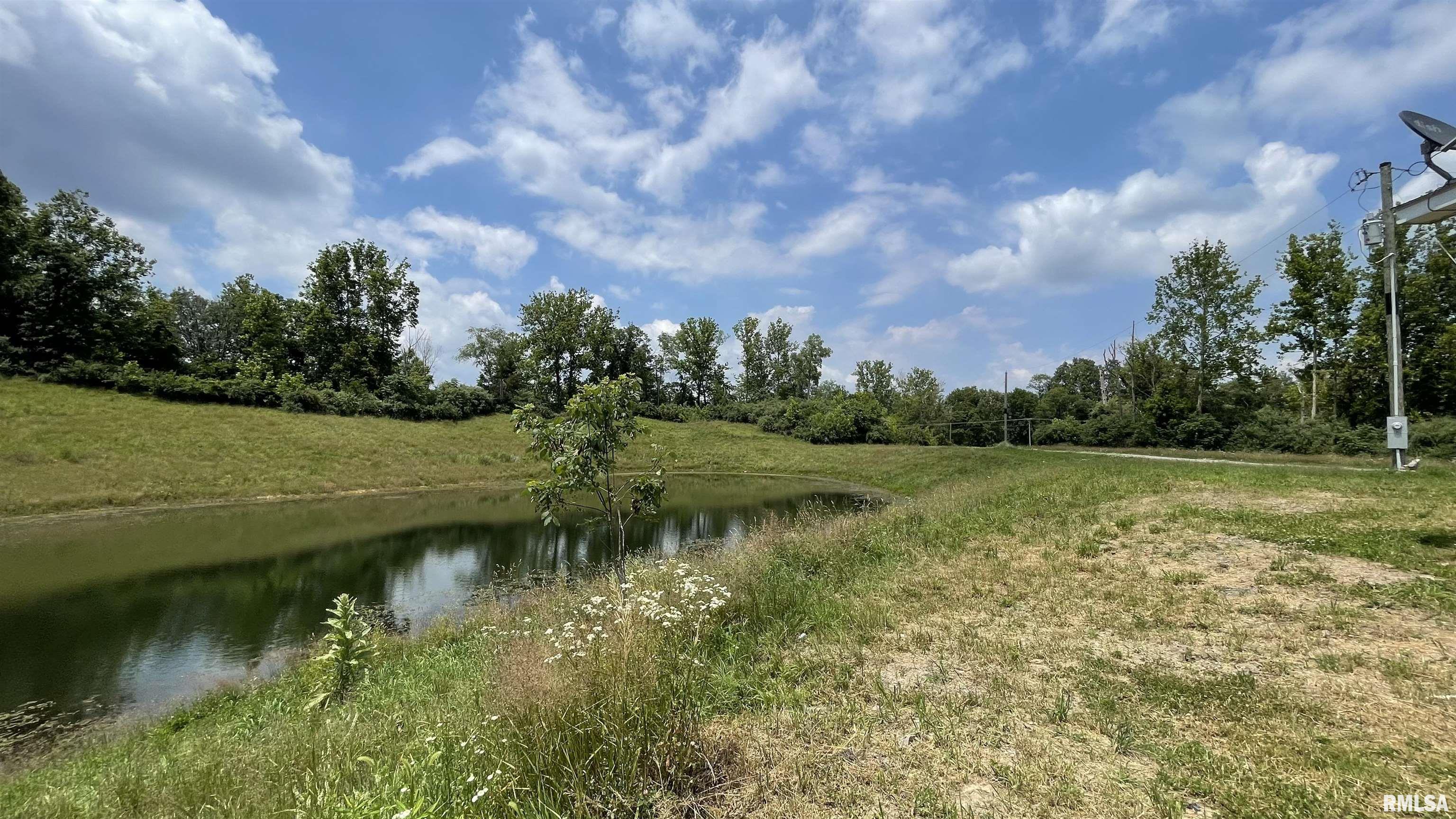 19153 Shed Church Road Marion, IL 62959 - Photo 4 of 28