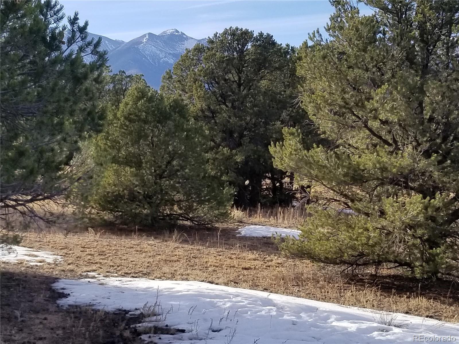 10761 Sawatch Range Road Salida, CO 81201 - Photo 23 of 36 a view of yard