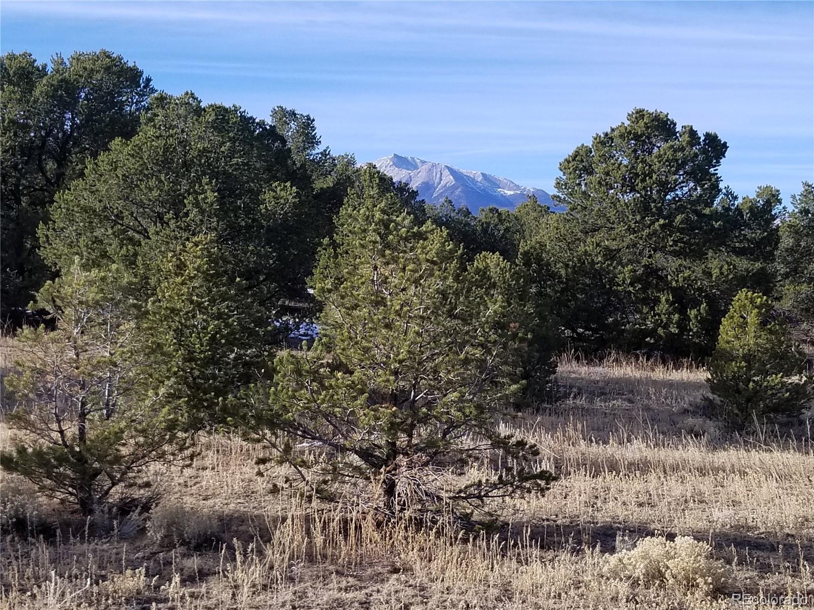 10761 Sawatch Range Road Salida, CO 81201 - Photo 9 of 36 a view of a yard with a tree in the background