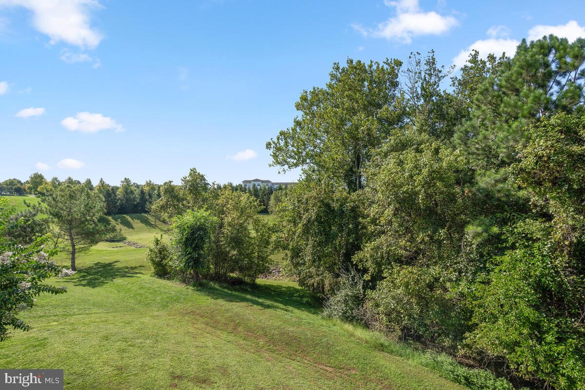 18502 Crossview Road Boyds, MD 20841 - Photo 54 of 68 View from the Deck