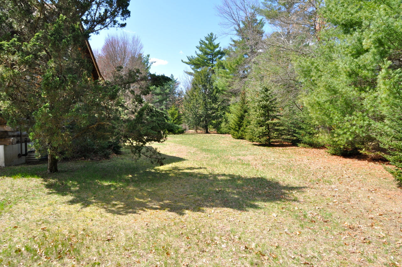 401 Polikoff Road Sheffield, MA 01222 - Photo 16 of 17 a view of a yard with large trees