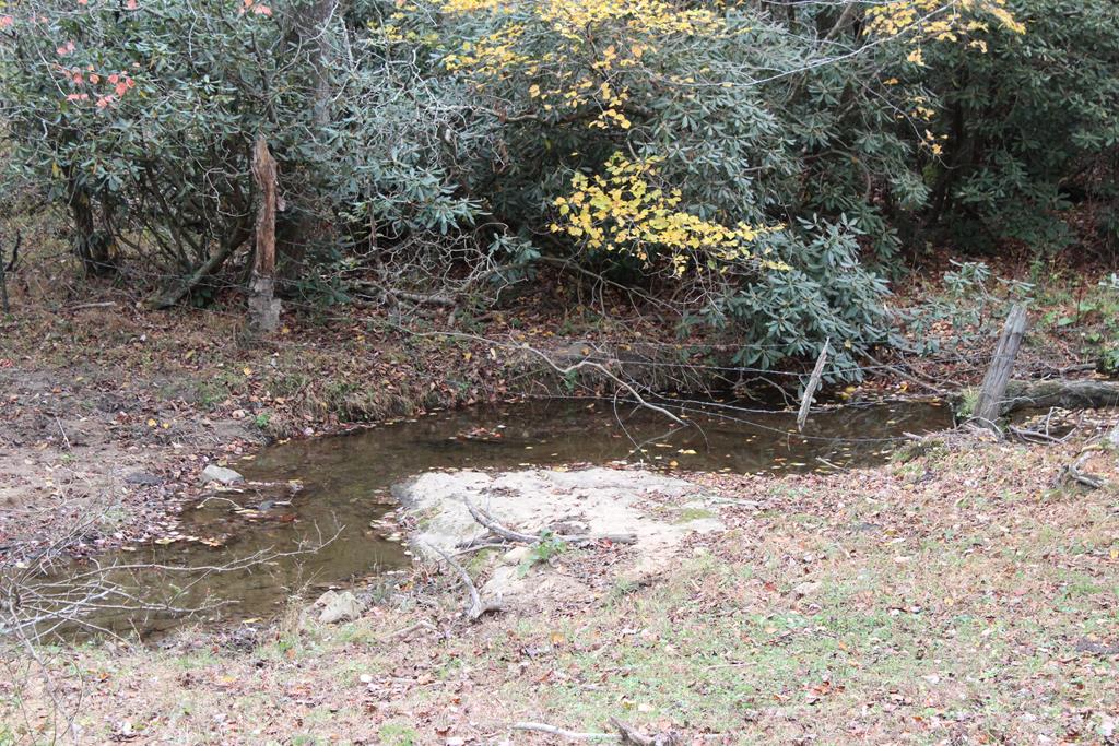 Tbd Terry's Mill Road, Unit 121A61 Laurel Fork, VA 24352 - Photo 8 of 71 Gallery Image 8