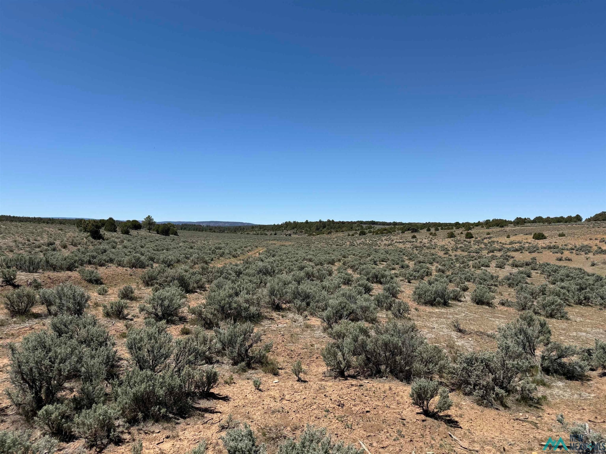 144 Foredst Service Road Abiquiu, NM 87510 - Photo 41 of 44 Gallery Image 41