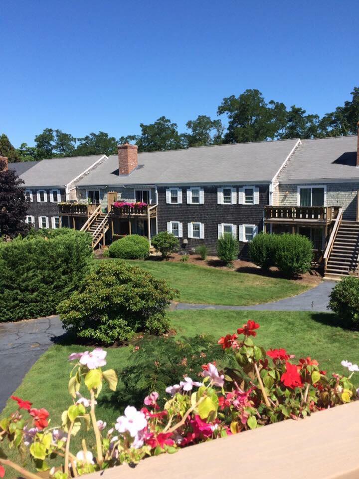 a view of a house with a big yard and potted plants