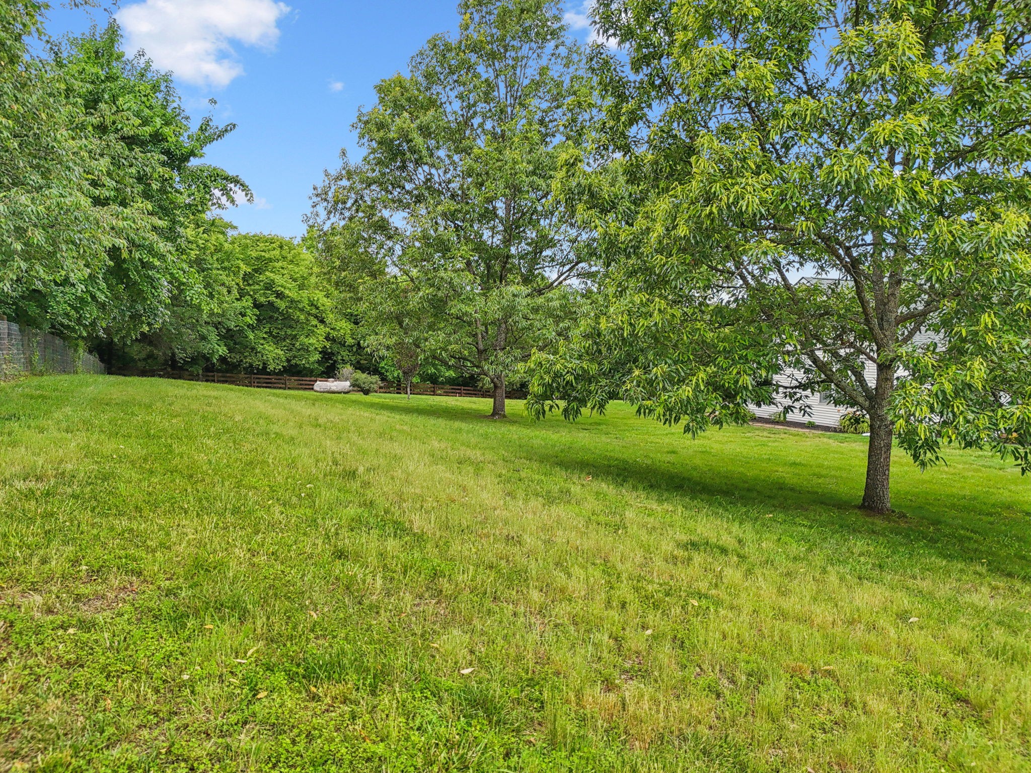 1387 Floyd Road Eagleville, TN 37060 - Photo 73 of 100 a view of yard with green space