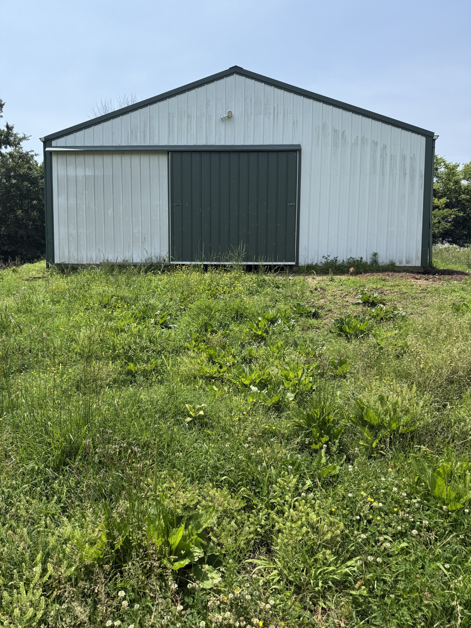 1387 Floyd Road Eagleville, TN 37060 - Photo 85 of 100