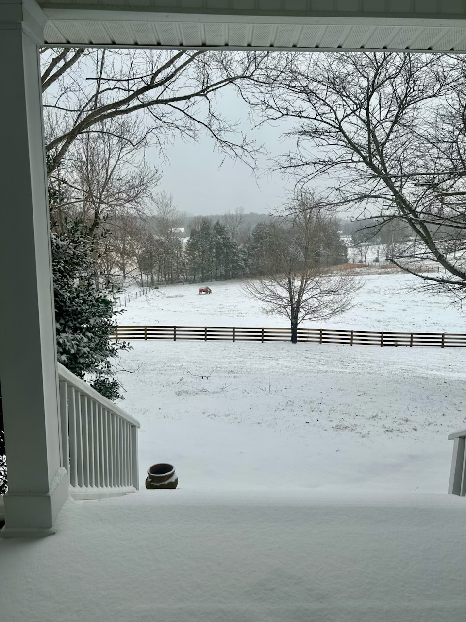 1387 Floyd Road Eagleville, TN 37060 - Photo 97 of 100 a view of outdoor space and yard